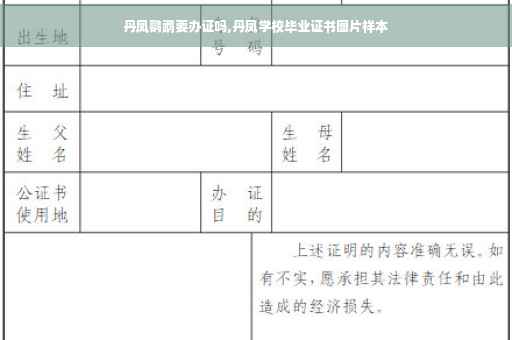 丹凤鹦鹉要办证吗,丹凤学校毕业证书图片样本
