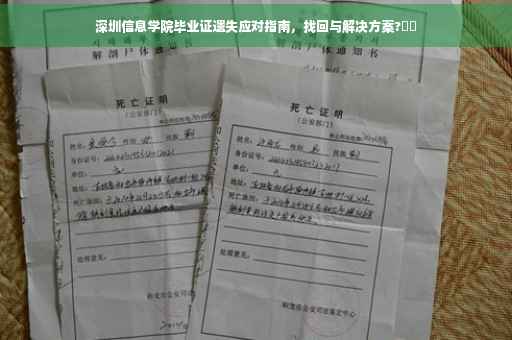 深圳信息学院毕业证遗失应对指南，找回与解决方案?⚡️