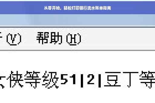 从零开始，轻松打印银行流水账单指南