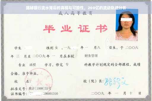 揭秘银行流水背后的真相与可能性，200亿的流动轨迹分析