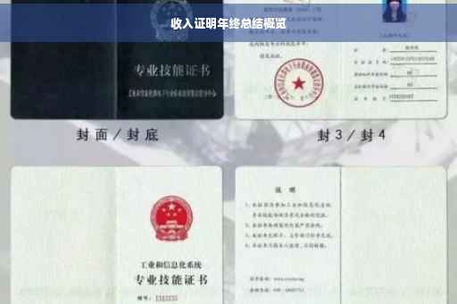 收入证明年终总结概览