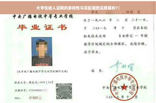 大学生收入证明的多样性与实际案例深度解析?✨