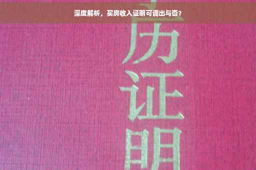 深度解析，买房收入证明可调出与否？