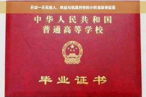 开店一天无收入，挑战与机遇并存的小创业故事探索