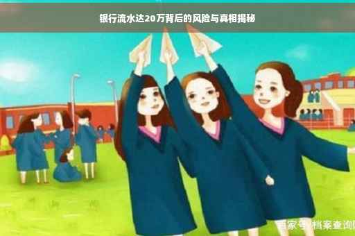 银行流水达20万背后的风险与真相揭秘