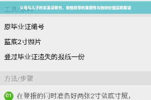 父母与儿子的关系证明书，亲情纽带的重要性与独特价值深度解读