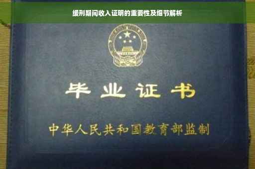 缓刑期间收入证明的重要性及细节解析