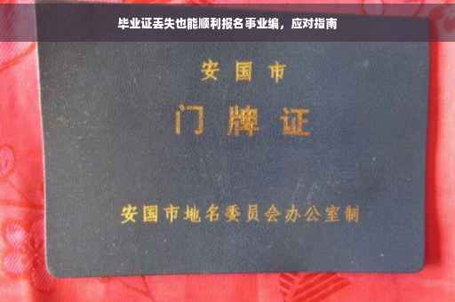 毕业证丢失也能顺利报名事业编，应对指南