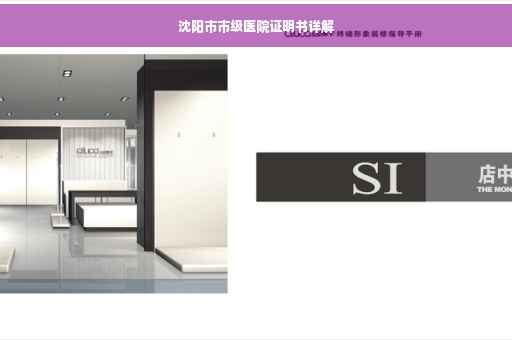 沈阳市市级医院证明书详解