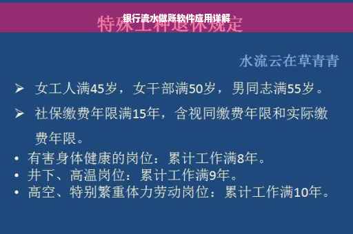 银行流水做账软件应用详解