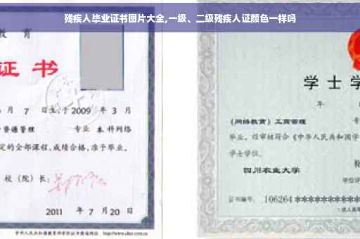 残疾人毕业证书图片大全,一级、二级残疾人证颜色一样吗