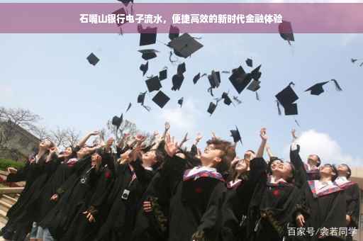 石嘴山银行电子流水，便捷高效的新时代金融体验