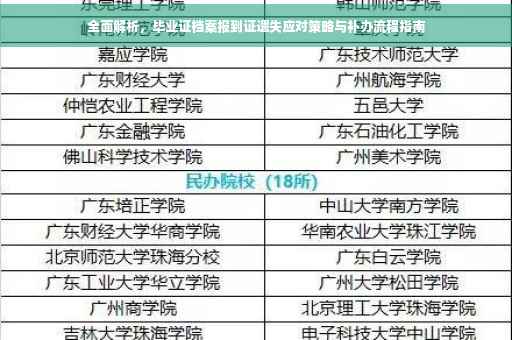 全面解析，毕业证档案报到证遗失应对策略与补办流程指南