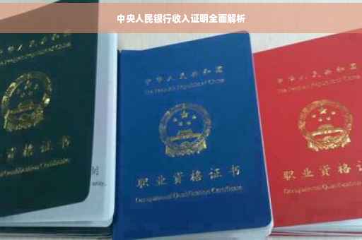中央人民银行收入证明全面解析