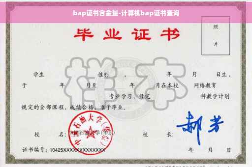 bap证书含金量-计算机bap证书查询