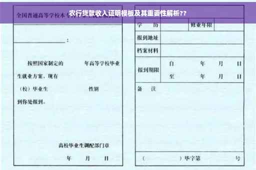 农行贷款收入证明模板及其重要性解析??