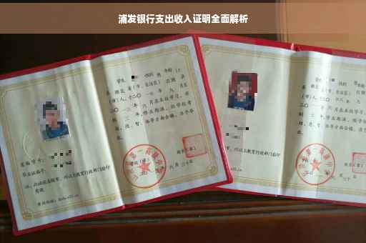 浦发银行支出收入证明全面解析