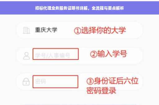 招标代理业务服务证明书详解，全流程与要点解析