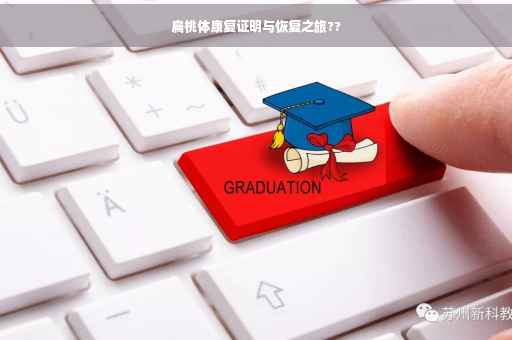 扁桃体康复证明与恢复之旅??