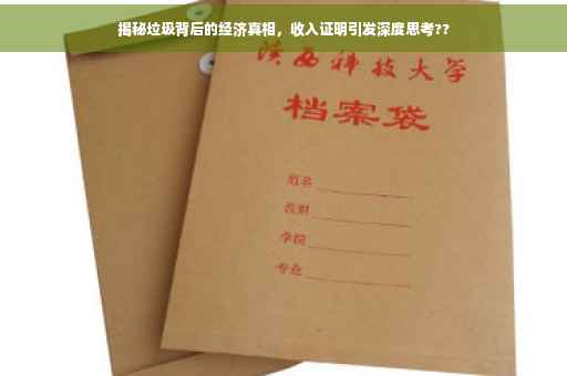 揭秘垃圾背后的经济真相，收入证明引发深度思考??