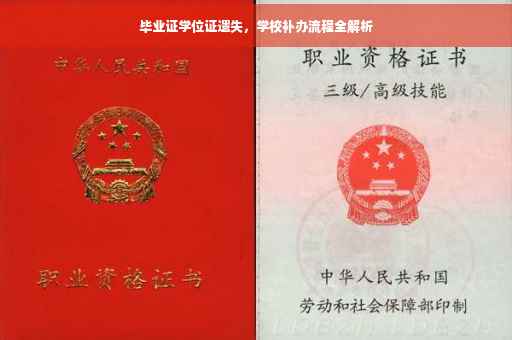 毕业证学位证遗失，学校补办流程全解析