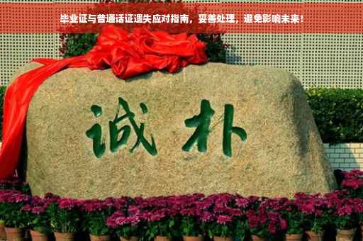 毕业证与普通话证遗失应对指南，妥善处理，避免影响未来！
