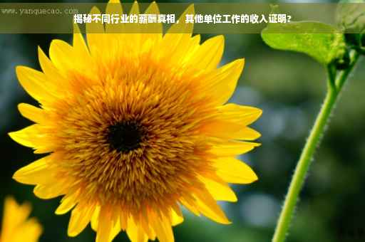 揭秘不同行业的薪酬真相，其他单位工作的收入证明?