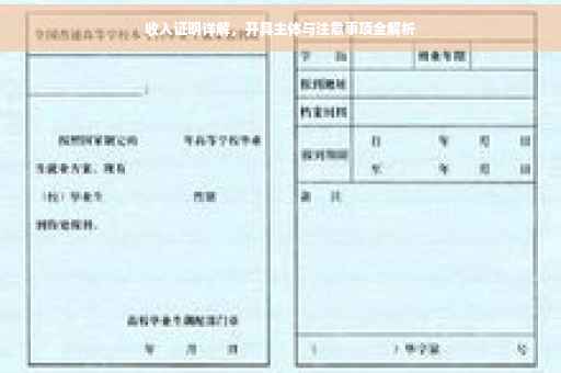 收入证明详解，开具主体与注意事项全解析