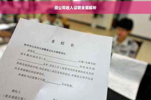 原公司收入证明全面解析