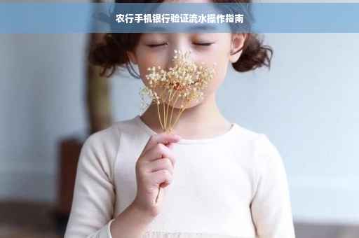 农行手机银行验证流水操作指南