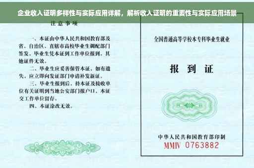 企业收入证明多样性与实际应用详解，解析收入证明的重要性与实际应用场景