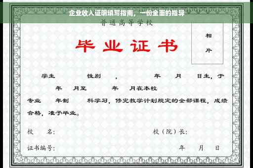 企业收入证明填写指南，一份全面的指导