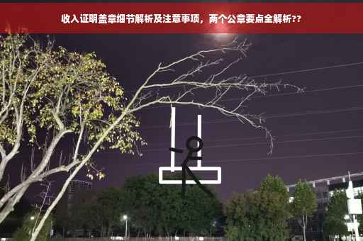 收入证明盖章细节解析及注意事项，两个公章要点全解析??