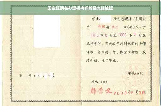 印章证明书办理机构详解及流程梳理
