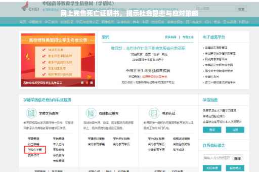 网上兜售死亡证明书，揭示社会隐患与应对策略