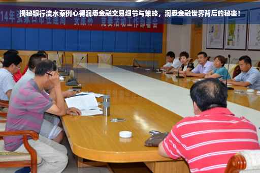 揭秘银行流水案例心得洞悉金融交易细节与策略，洞悉金融世界背后的秘密！