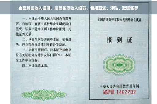 全面解读收入证明，涵盖各项收入细节，包括薪资、津贴、取暖费等
