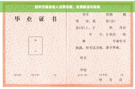 新农合基金收入证明详解，全面解读与指南