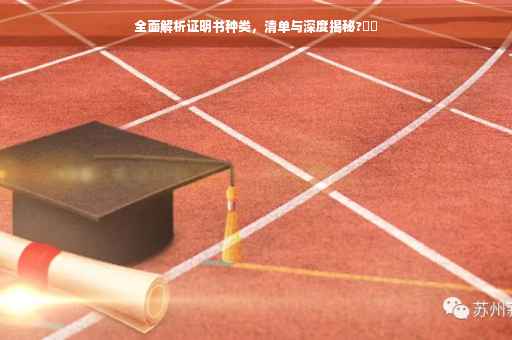 全面解析证明书种类，清单与深度揭秘?⚡️