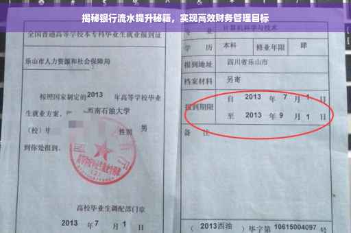 揭秘银行流水提升秘籍,实现高效财务管理目标 揭秘银行流水提升秘籍,实现高效财务管理目标