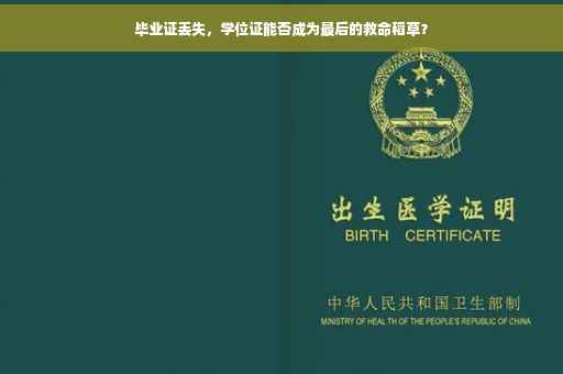 毕业证丢失，学位证能否成为最后的救命稻草？