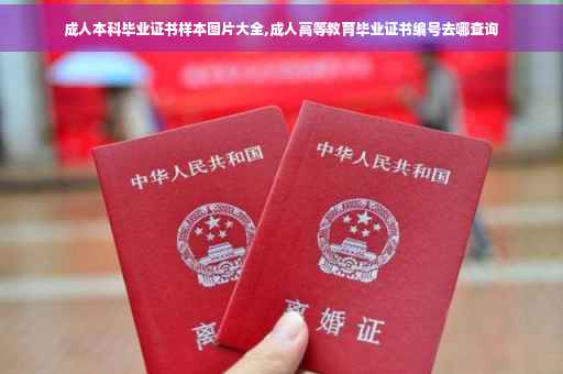 成人本科毕业证书样本图片大全,成人高等教育毕业证书编号去哪查询
