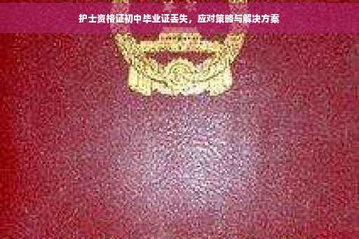 护士资格证初中毕业证丢失，应对策略与解决方案