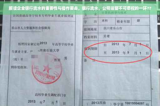 解读企业银行流水的重要性与操作要点，银行流水，公司运营不可忽视的一环??