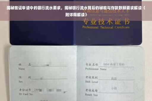 揭秘签证申请中的银行流水要求，揭秘银行流水背后的秘密与存款数额要求解读（附详细解读）