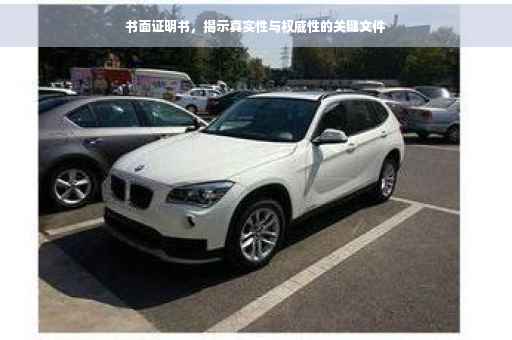 书面证明书，揭示真实性与权威性的关键文件
