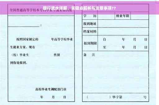 银行流水详解，关键点解析与注意事项??