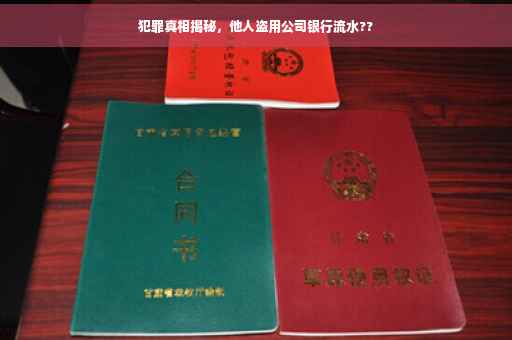 犯罪真相揭秘，他人盗用公司银行流水??