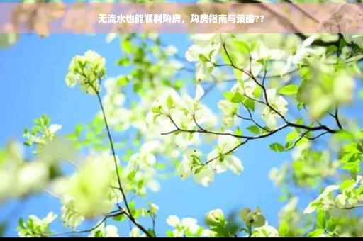 无流水也能顺利购房，购房指南与策略??