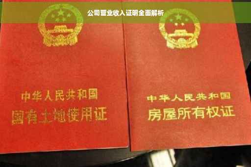公司营业收入证明全面解析